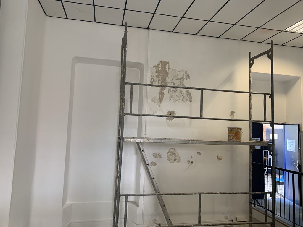 Renov Paca — Photos 12